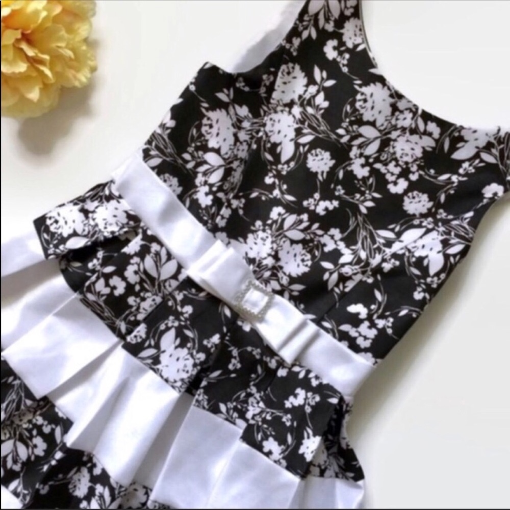 Girl’s Elegant Little Princess Dress